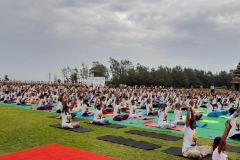 idy-22-shore-temple-3