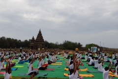 idy-22-shore-temple-4